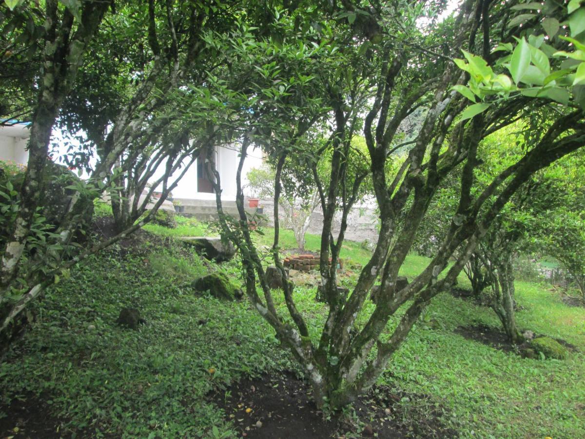 Casa Martin En Banos De Agua Santa Villa Kültér fotó